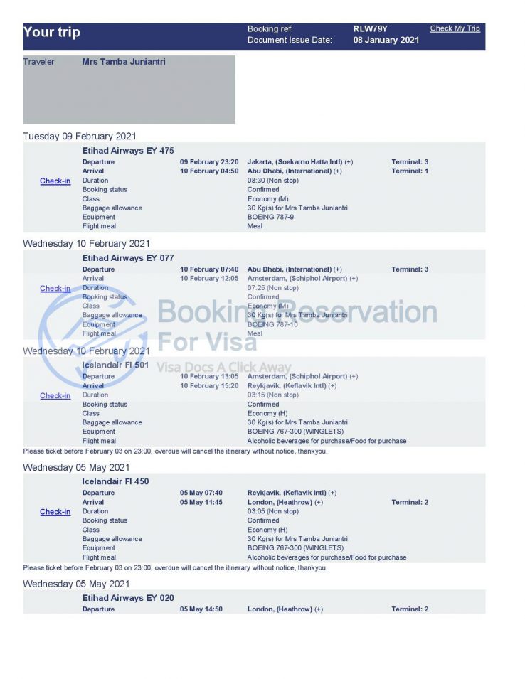 Flight-Itinerary-sample