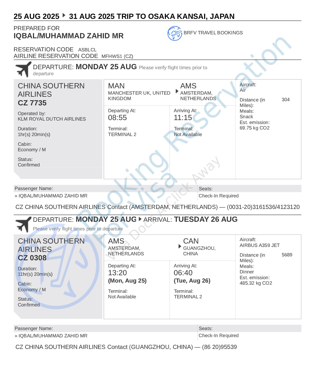 dummy-flight-ticket-sample